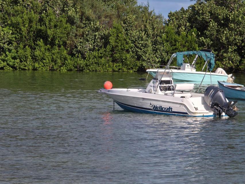 Wellcraft 19ft 130hp Yamaha 4-stroke  150hrs est..
