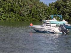 Wellcraft 19ft 130hp Yamaha 4-stroke  150hrs est..