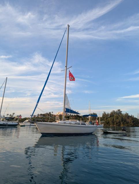 Catalina 30 Indigo - romantic liveaboard, cats not included