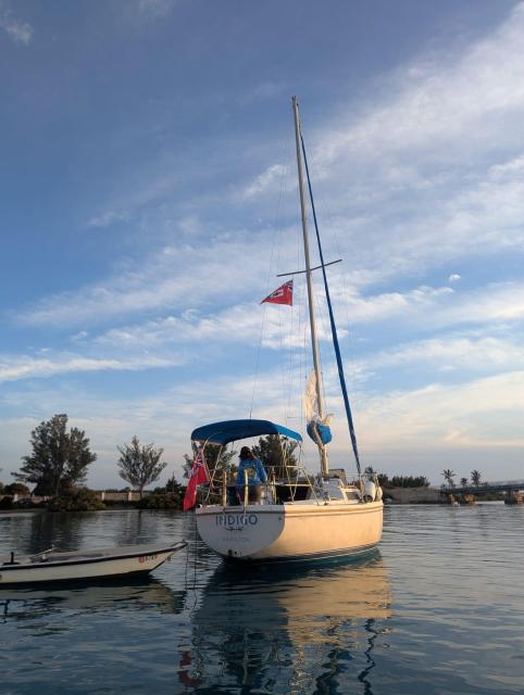 Catalina 30 Indigo - romantic liveaboard, cats not included