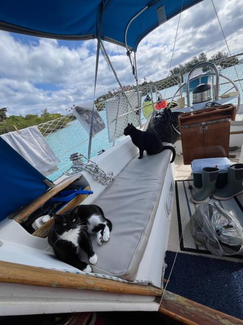 Catalina 30 Indigo - romantic liveaboard, cats not included