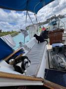Catalina 30 Indigo - romantic liveaboard, cats not included