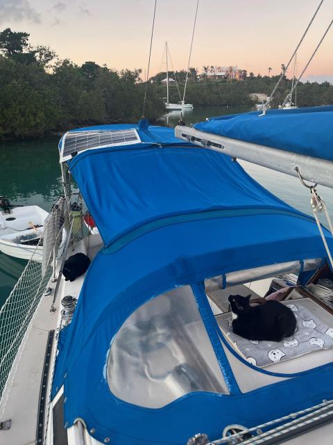 Catalina 30 Indigo - romantic liveaboard, cats not included