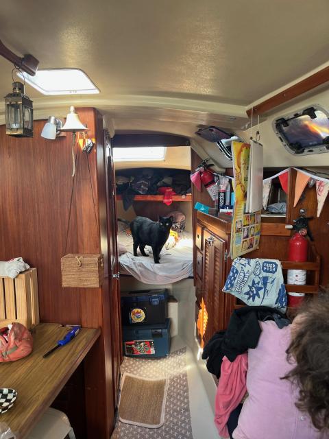 Catalina 30 Indigo - romantic liveaboard, cats not included