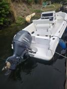 Dock space available. Wellcraft CC 19ft  130hp Yamaha 4stroke  147hrs$15k